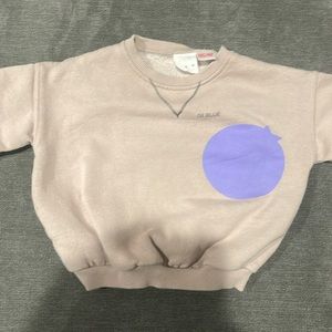 Zara 18-24 month sweatshirt.